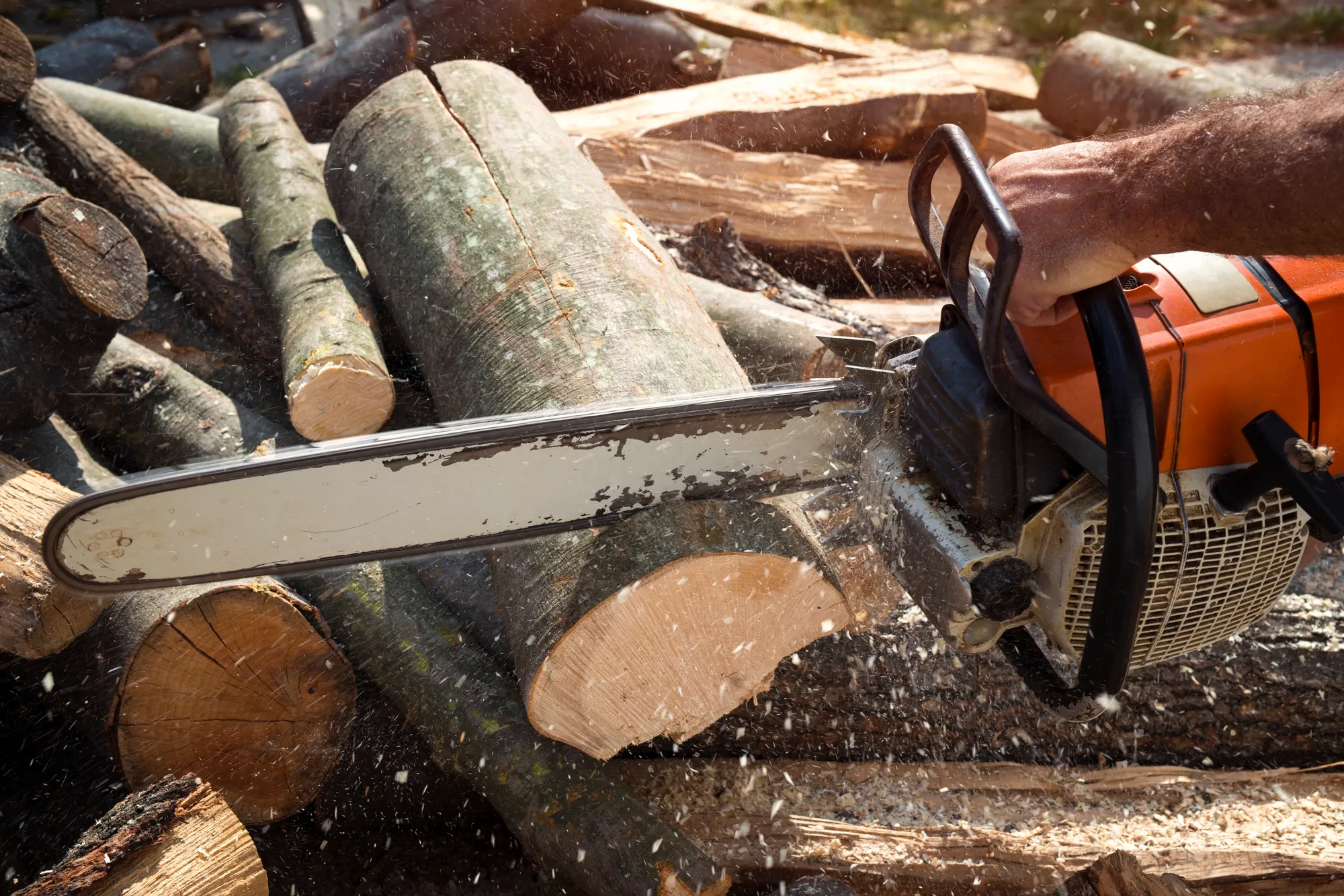 Why Choose Stump Grinding Services Over DIY Removal