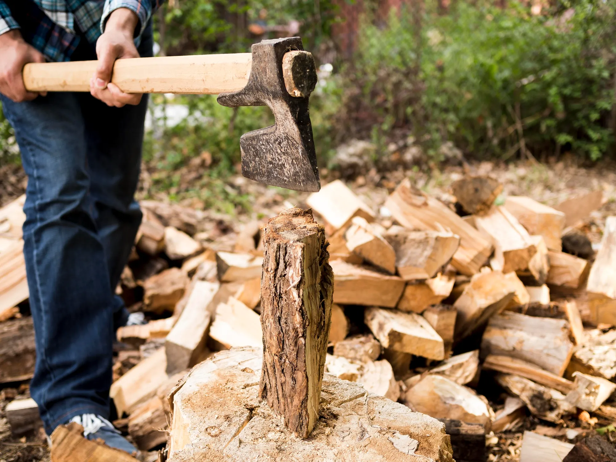 Benefits of Stump Grinding Services After Tree Removal