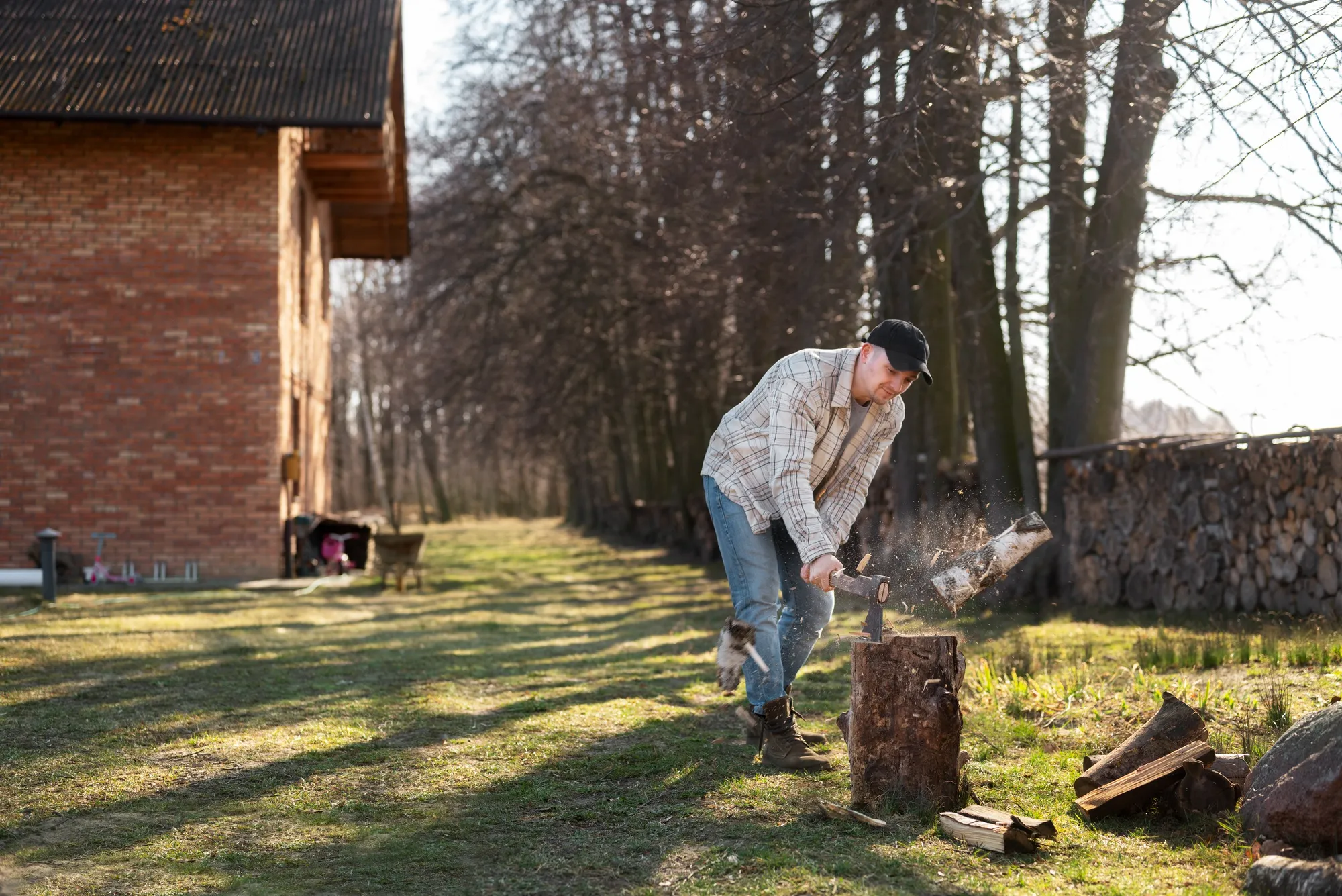 Stump Grinding Services: Restore Your Lawn’s Beauty