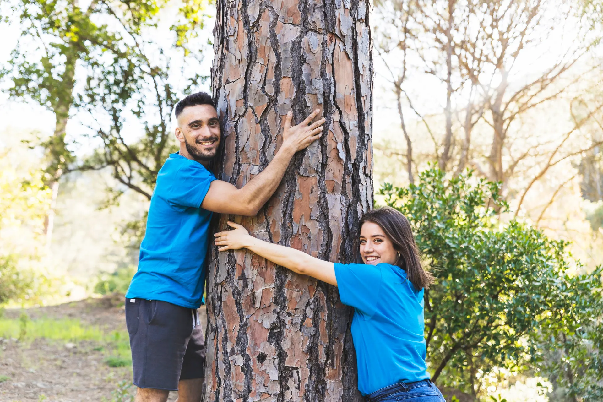 Why Tree Preservation Services Are Important for Urban Landscapes