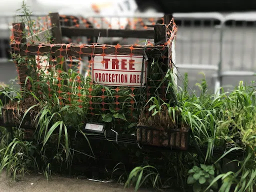 Home