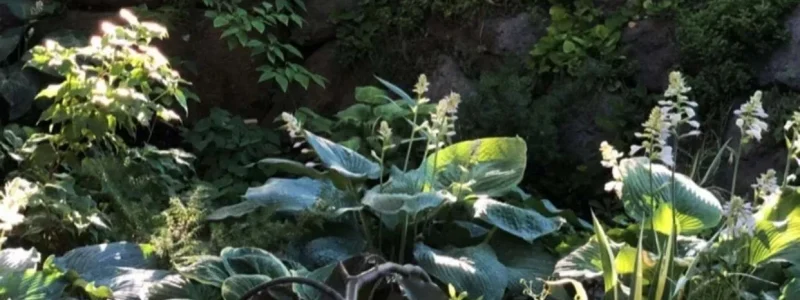 Great Backyards Utah: The Bawden Home