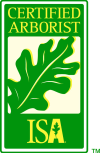 ISA