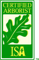 ISA