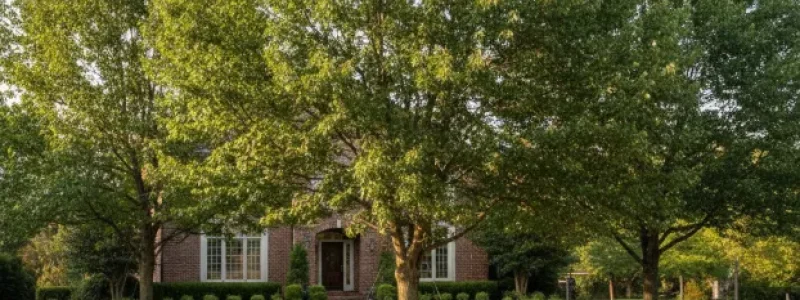 Screenshot 2026-03-05 144958