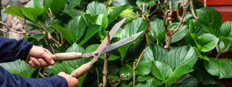 Screenshot 2026-04-06 110747