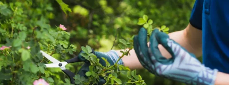 Screenshot 2026-04-06 111152