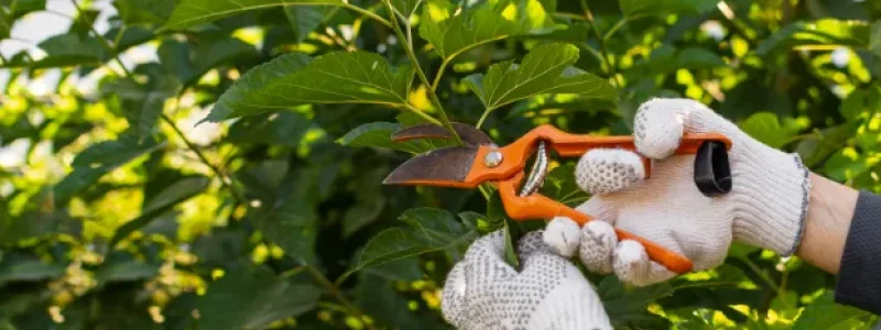 Screenshot 2026-04-06 111638