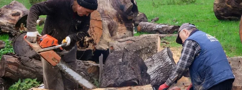 Tree Removal Services for Residential and Commercial Properties