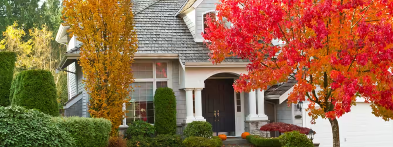 What to Consider When Choosing Trees for Your Yard in Utah