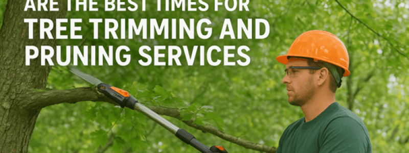 Why Spring and Fall Are the Best Times for Tree Trimming and Pruning Services