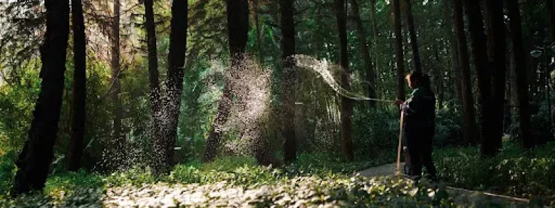 arbor 1