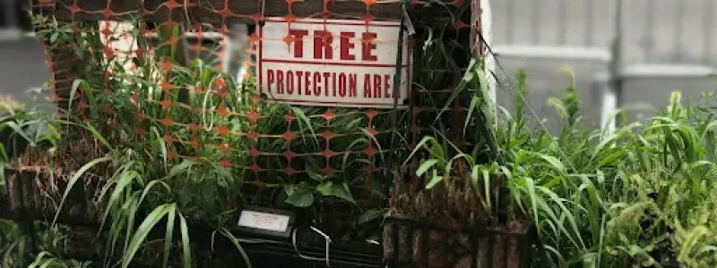 arbor 4