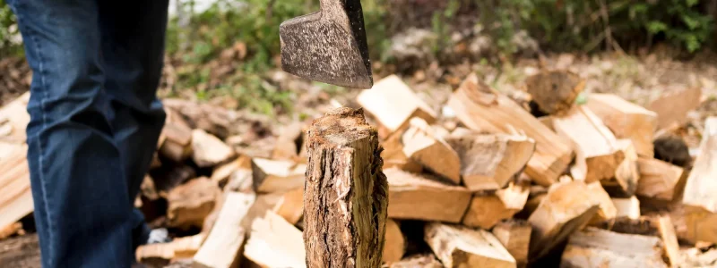 Benefits of Stump Grinding Services After Tree Removal