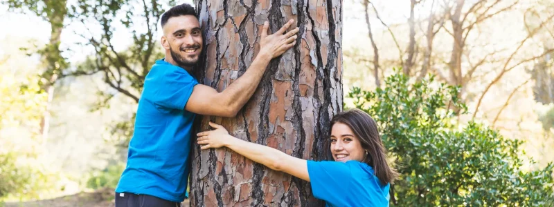 Why Tree Preservation Services Are Important for Urban Landscapes